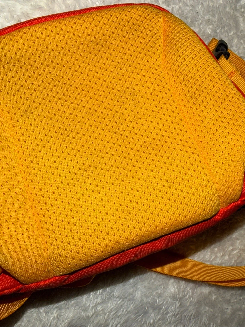 Arc'teryx Mantis 1L bag